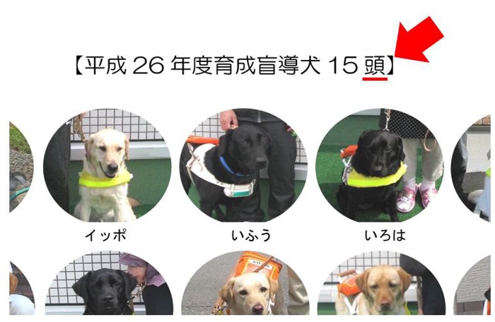 北海道盲導犬協会の資料