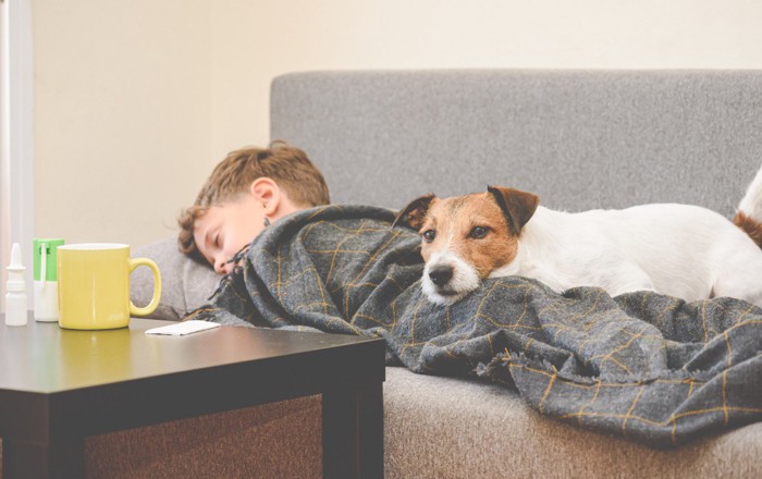 体調が悪そうな男の子と見守る犬