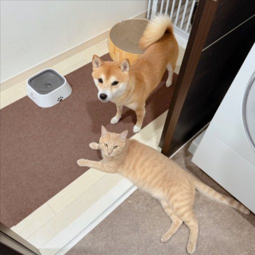 仲良し