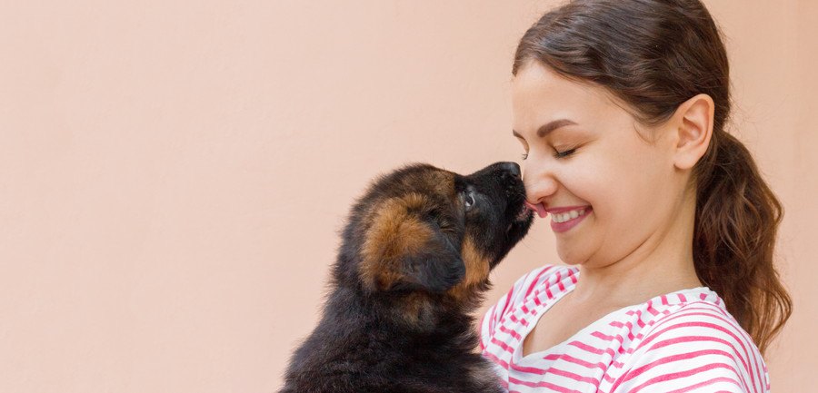 女の子の顔を舐める犬