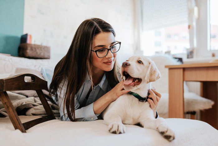 ソファでくつろぐ子犬と女性