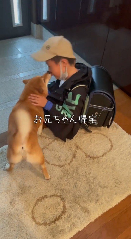 男の子の口を舐める犬