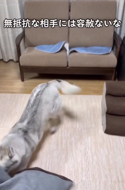 クッションに八つ当たり