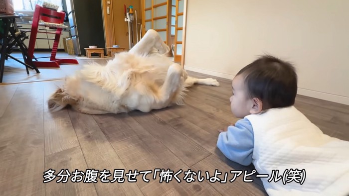 「僕ってこんなに愉快な犬だよ♪」