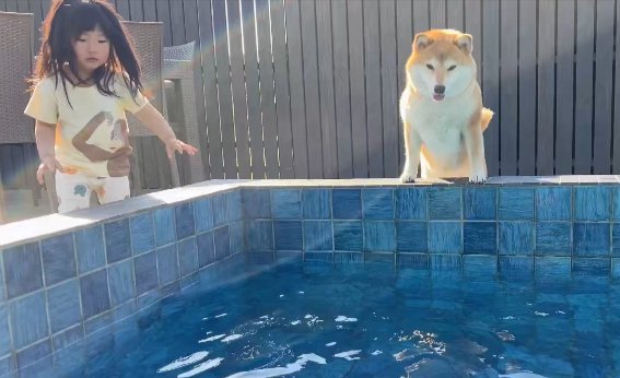 プール