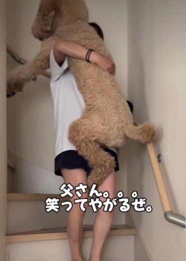 階段を降りられない！！