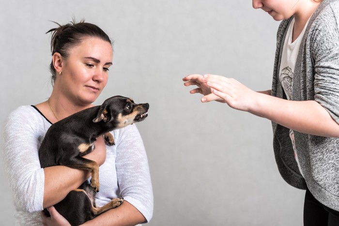 女性に威嚇する犬