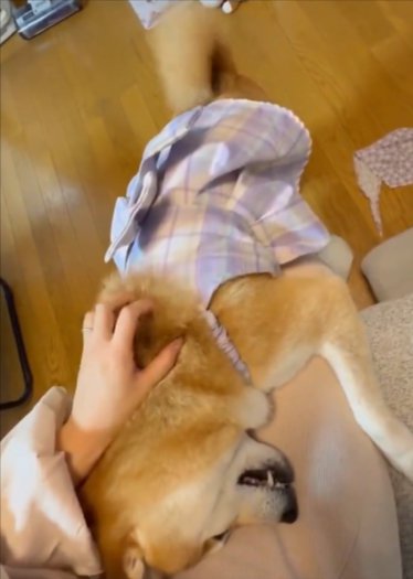 膝枕