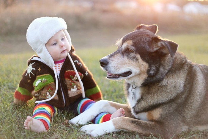 赤ちゃんと犬