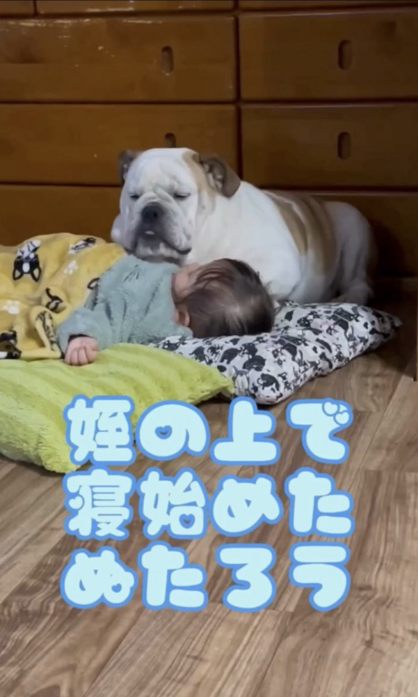 子供に近づく犬