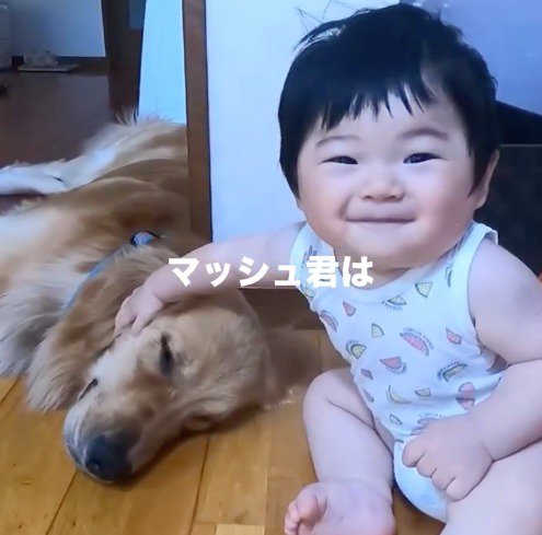 笑顔で犬を撫でる赤ちゃん