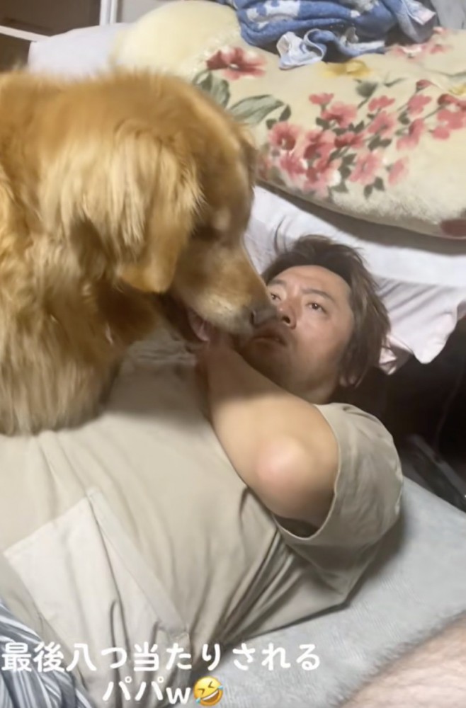 そっと目を逸らすココちゃん