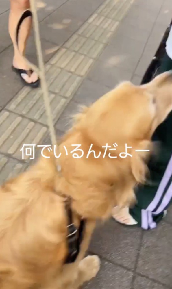 喜び全開！！