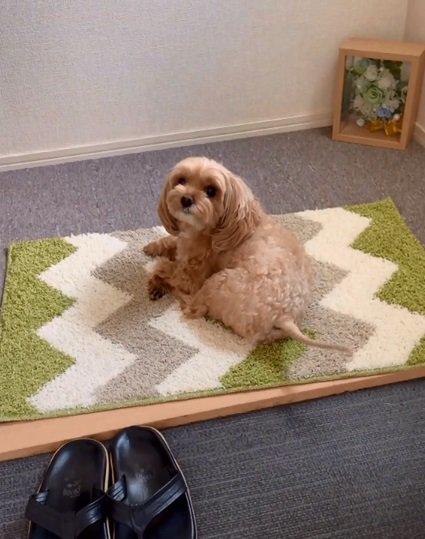 塩対応のニコちゃん