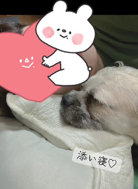 とっても甘えん坊