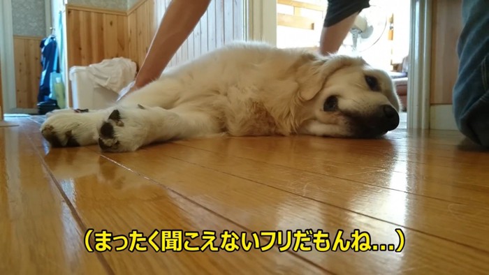 邪魔だけれど可愛い♡