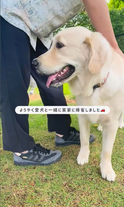 小町ちゃんと実家に帰省2