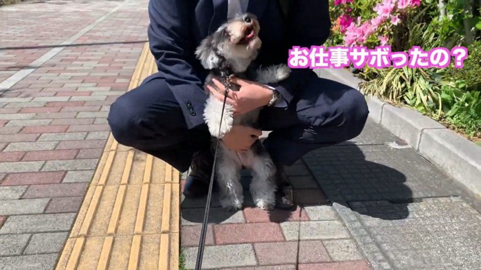 笑顔でじゃれる姿が可愛い♡