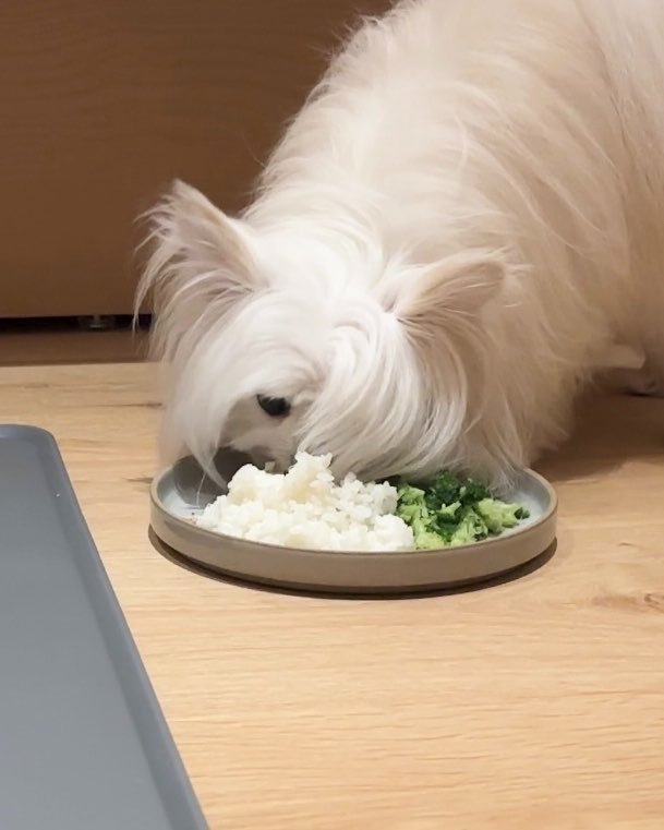 食事中
