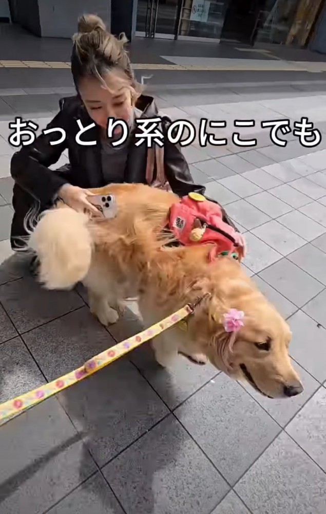 体を擦り付ける犬