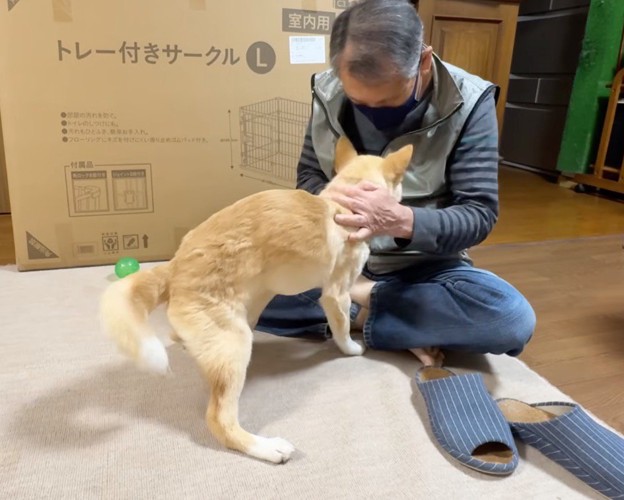 犬を優しく撫でるおじいちゃん
