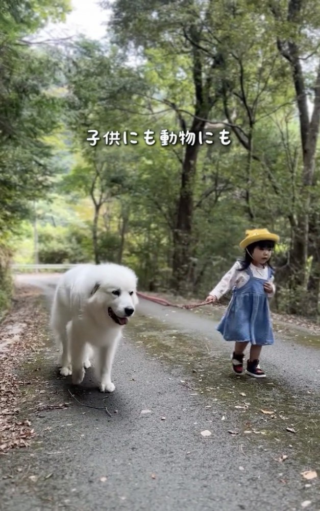 ほっこりしちゃいます