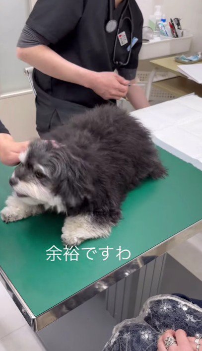 健気な姿にホッコリ♡