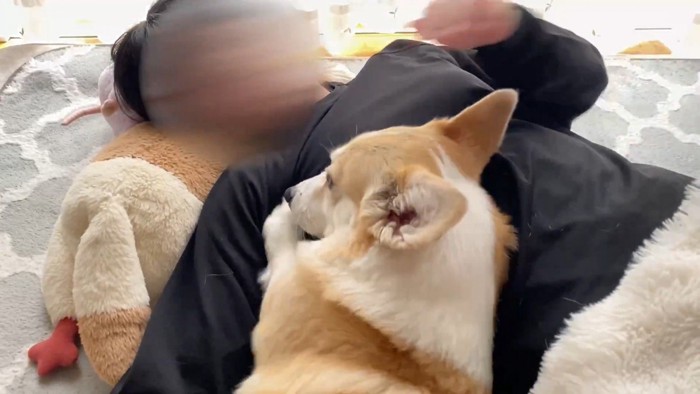 「撫でてってば～」