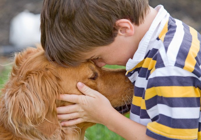 男の子と大型犬