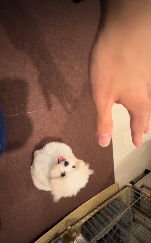 ちょこんとお座り