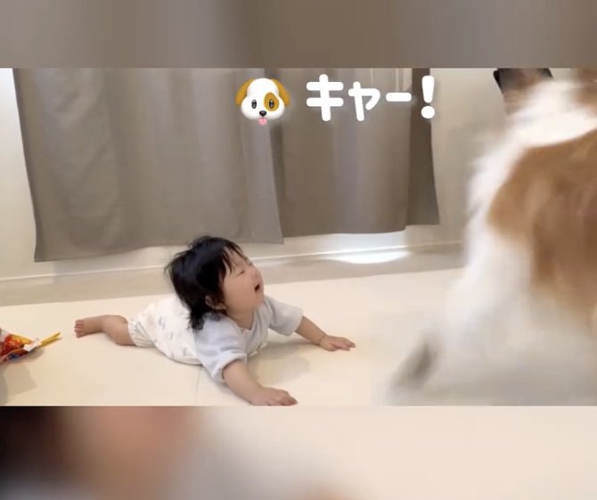 逃！！