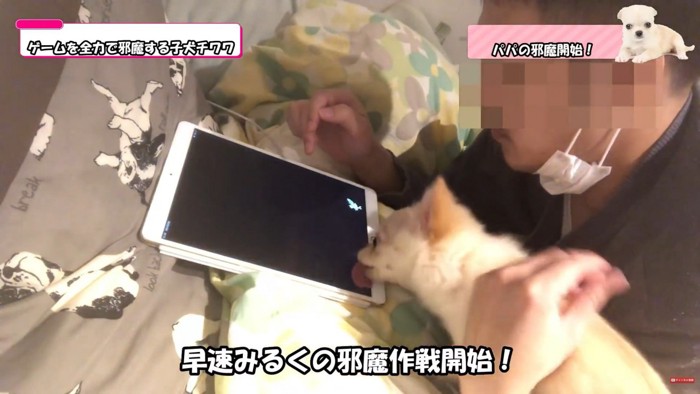画面を舐めて妨害!