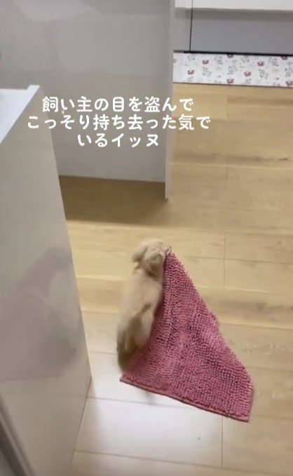 完全犯罪