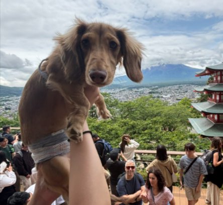 可愛すぎる