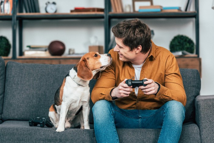 男性と犬