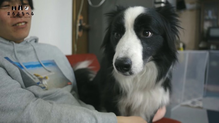 真顔の犬と男性