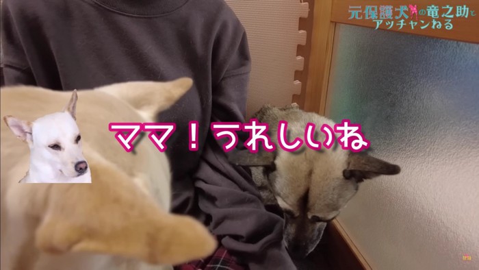 竜之助くんも嬉しそう