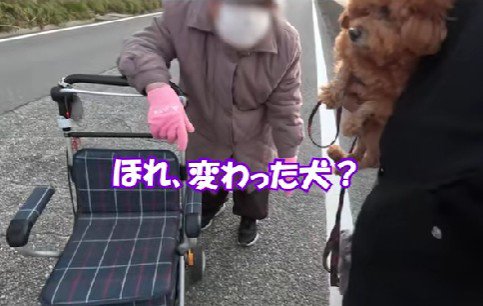 「変わった犬ね」