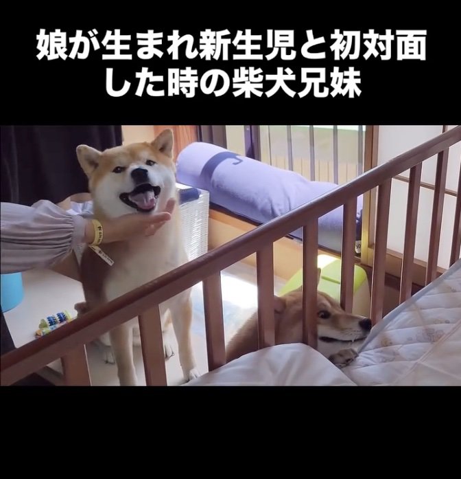 嬉しい！！