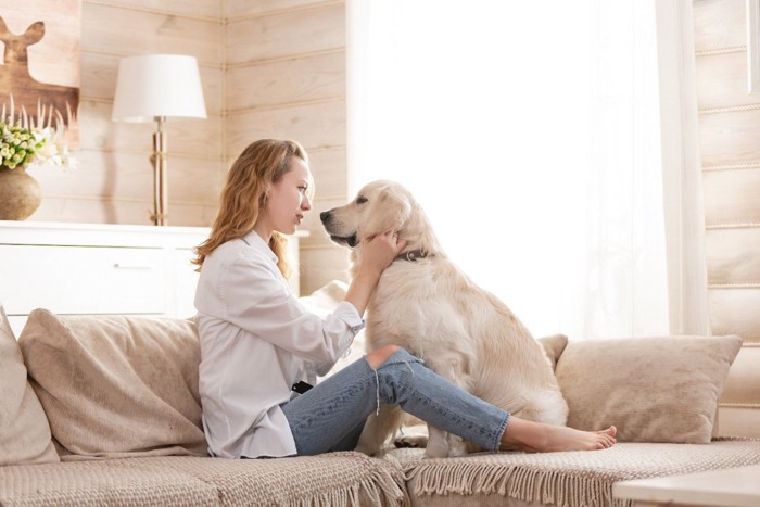 飼い主さんと向き合って座る犬