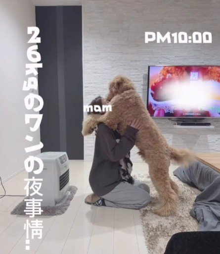 現在のあぐらちゃん