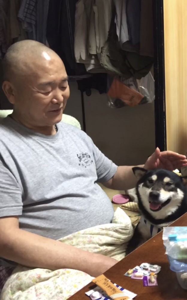 黒柴の頭を撫でる笑顔のおじいちゃん