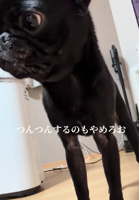 顔はきゅるるん♡