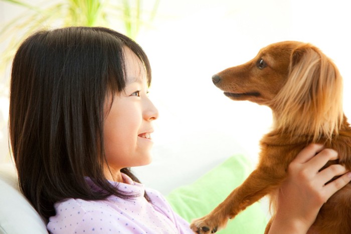 見つめ合う犬と女の子