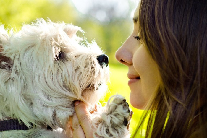 向き合う女性と犬