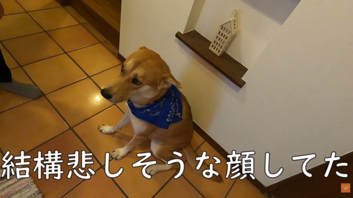 しょんぼり