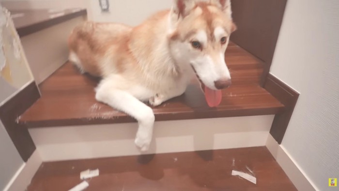 まだまだこれからだね♪