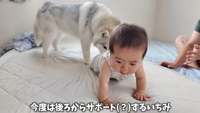 おしりを押してサポート