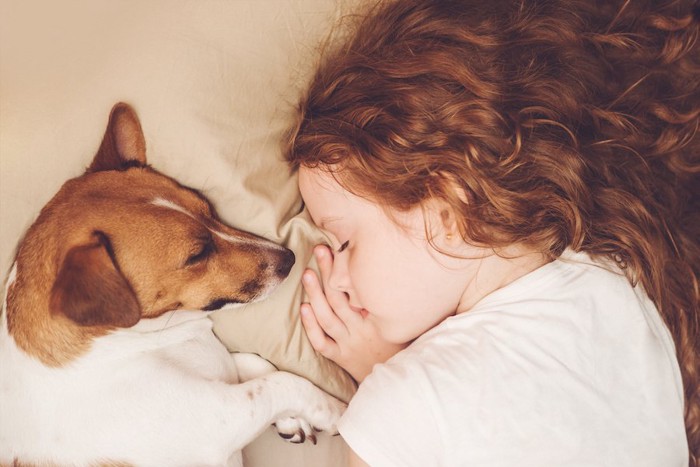 一緒に眠る子供と犬