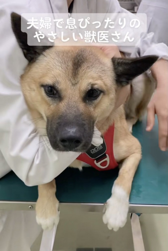 いつ打たれたのか分からないレベル